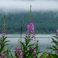 (EcoChina) CHINA-INNER MONGOLIA-ARXAN--LAKE-SCENERY