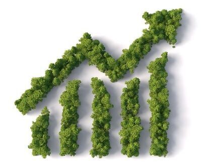 How has sustainable flows fared compared to conventional funds? 