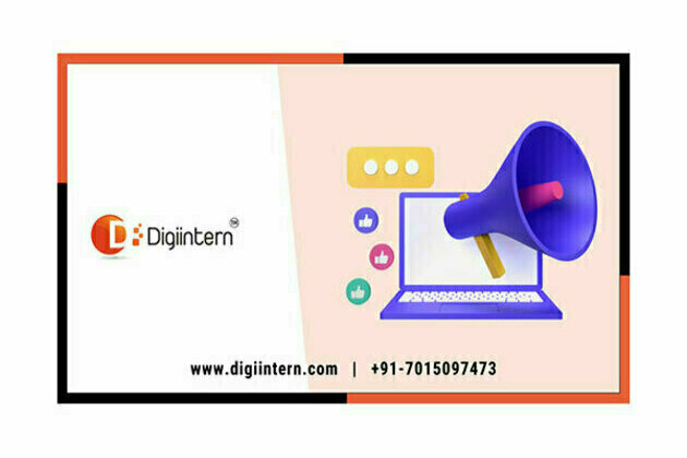 Digiintern Technologies Pvt. Ltd. Elevates Online Presence with the Top-Notch Digital Marketing Services