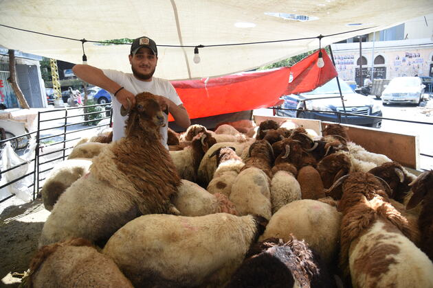 LEBANON-TRIPOLI-EID AL-ADHA-LIVESTOCK MARKET