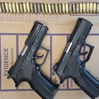 Suspect in custody after Gardai confiscate firearms, ammo