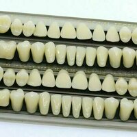 Teeth record the hidden history of your childhood climate and diet