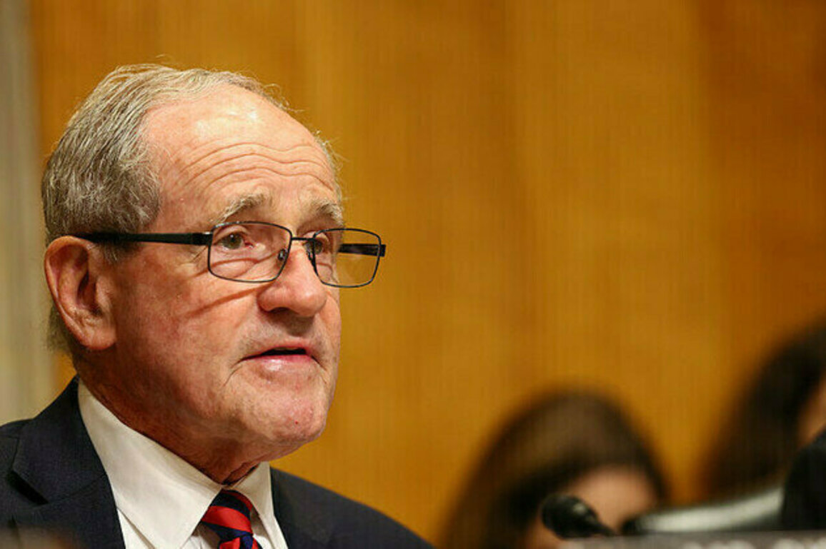 US senator targets African armed groups for terror designation