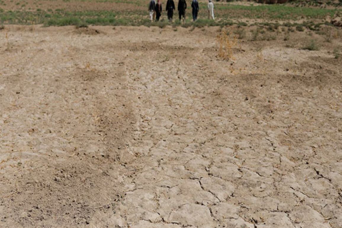 UN alerts worsening drought endangering Afghanistan's food security