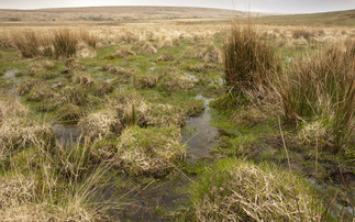 Defra ringfences £47m to boost peatland protections