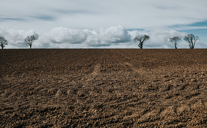 Colin Ramsay, Six Inches of Soil director: "Soil provides 95 per cent of our food so without soil there is no life"