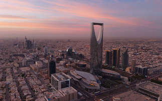 Global Briefing: Saudi Arabia unveils heavily caveated new climate goals 