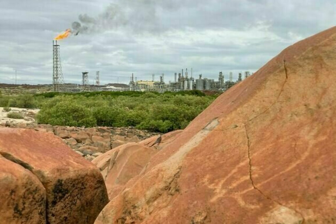 Woodside's North West Shelf gas extension is being challenged in the courts. Could it be stopped?