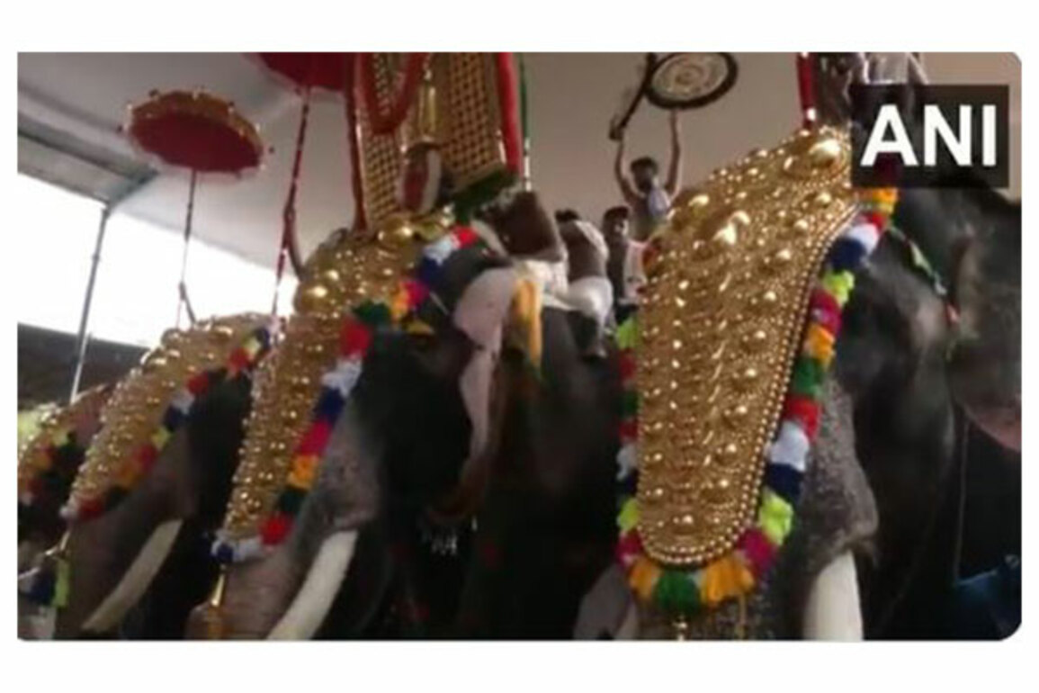 Thrissur Pooram, Kerala's grand festival begins with devotees thronging temple town's Thekkinkadu Maidan