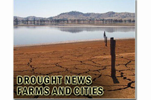 Syria&#39;s wheat war- drought fuels food crisis for 16 million
