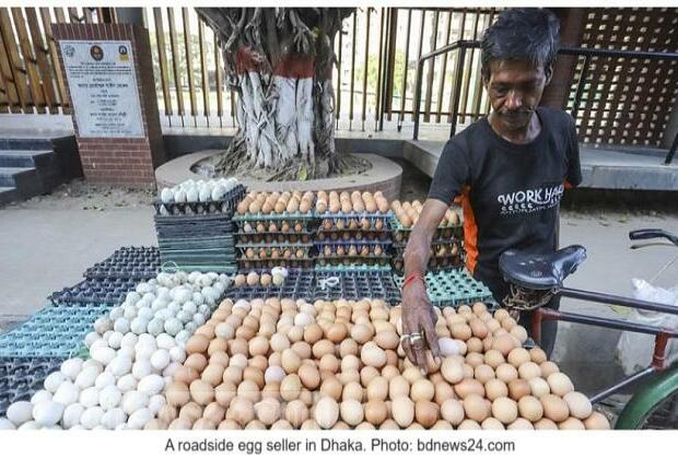 Egg-citing News: Bangladesh to import 110 million eggs for stabilizing market