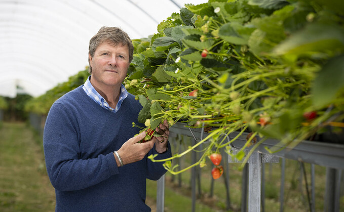 Farmer finds niche market for fruit and creates successful skincare range