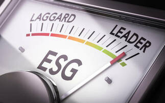 Pension schemes 'pulling ahead' of sponsors on ESG progress, LawDeb says