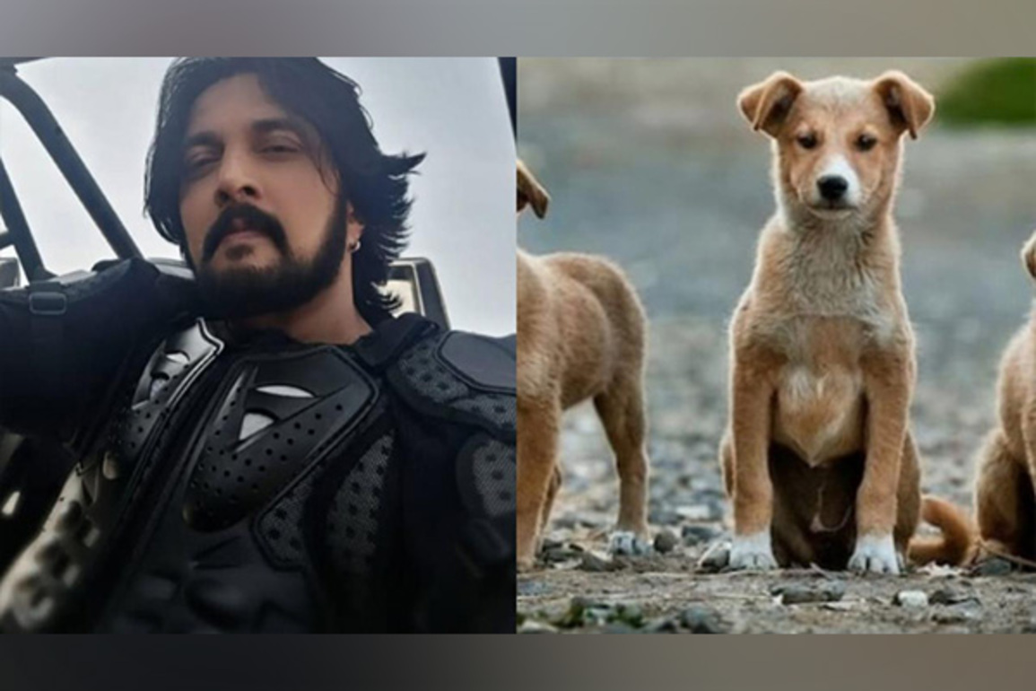 "They didn't choose streets but...": Kichcha Sudeepa urges to "kindly adopt" indie dogs after SC's order