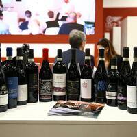 Trump's tariffs spark bitter aftertaste among Italian wine producers