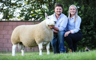 ROYAL WELSH SHOW: Young breeders buckle up for Royal Welsh Show  