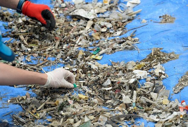 US TikToker Leads Global Campaign to Clean Up Oceans