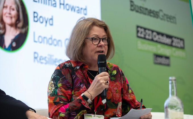 Julia King, Baroness Brown of Cambridge, chair of the Climate Change Committee's adaptation sub-committee - Credit: Naomi Gabrielle Photography