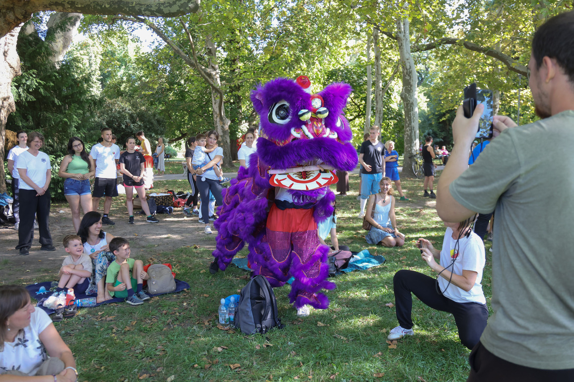 HUNGARY-BUDAPEST-CHINESE CULTURE-LION DANCE-TAIJI