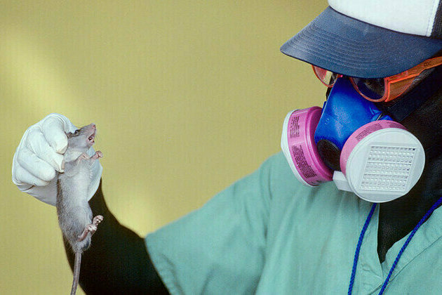 Deadly fever outbreak claims over 150 lives in African country