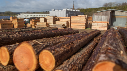 Premier Forest Products buys Decorpanel