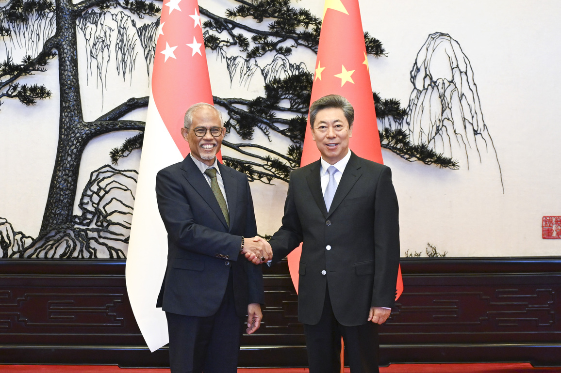 CHINA-BEIJING-CHEN WENQING-SINGAPORE-MEETING (CN)