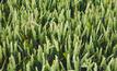 Nutrien boosts earnings forecast as potash prices soar
