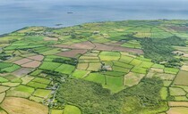 Cornwall Council told to keep their tenant farms