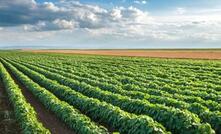 Verde obtém licença para produção de 150.000 toneladas de fertilizantes