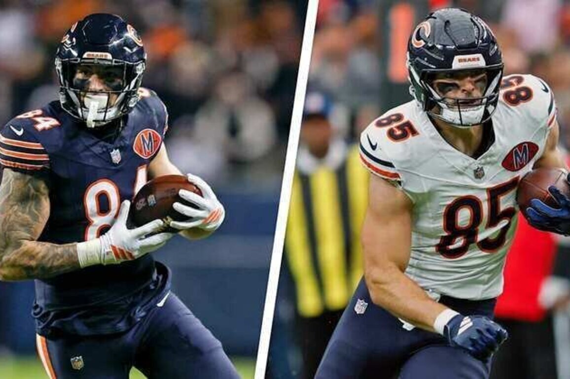Bears 2025 position review: Tight end