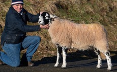 Swaledale records smashed at Hawes