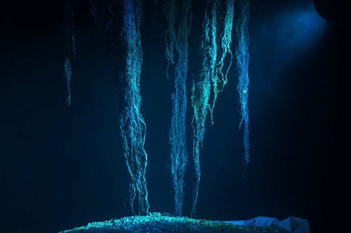 teamLab Phenomena Abu Dhabi unveils two new immersive artworks