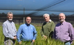  Peter Hayman (left), Mariano Cossani, Glenn McDonald and Victor Sadras are among the authors of the new manual. Photo: GRDC