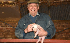 Smallholder Special: Retirement hobby works to sustain rare breed pigs