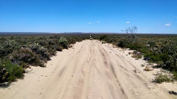 The road to Arrowsmith.