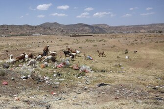 YEMEN-SANAA-ENVIRONMENT