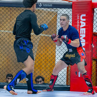 Al Ain to host UAE National MMA Championship Saturday