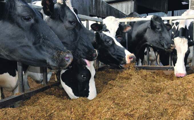 Dairy and beef farms saw a 44% increase respectively, with feed again making a considerable contribution