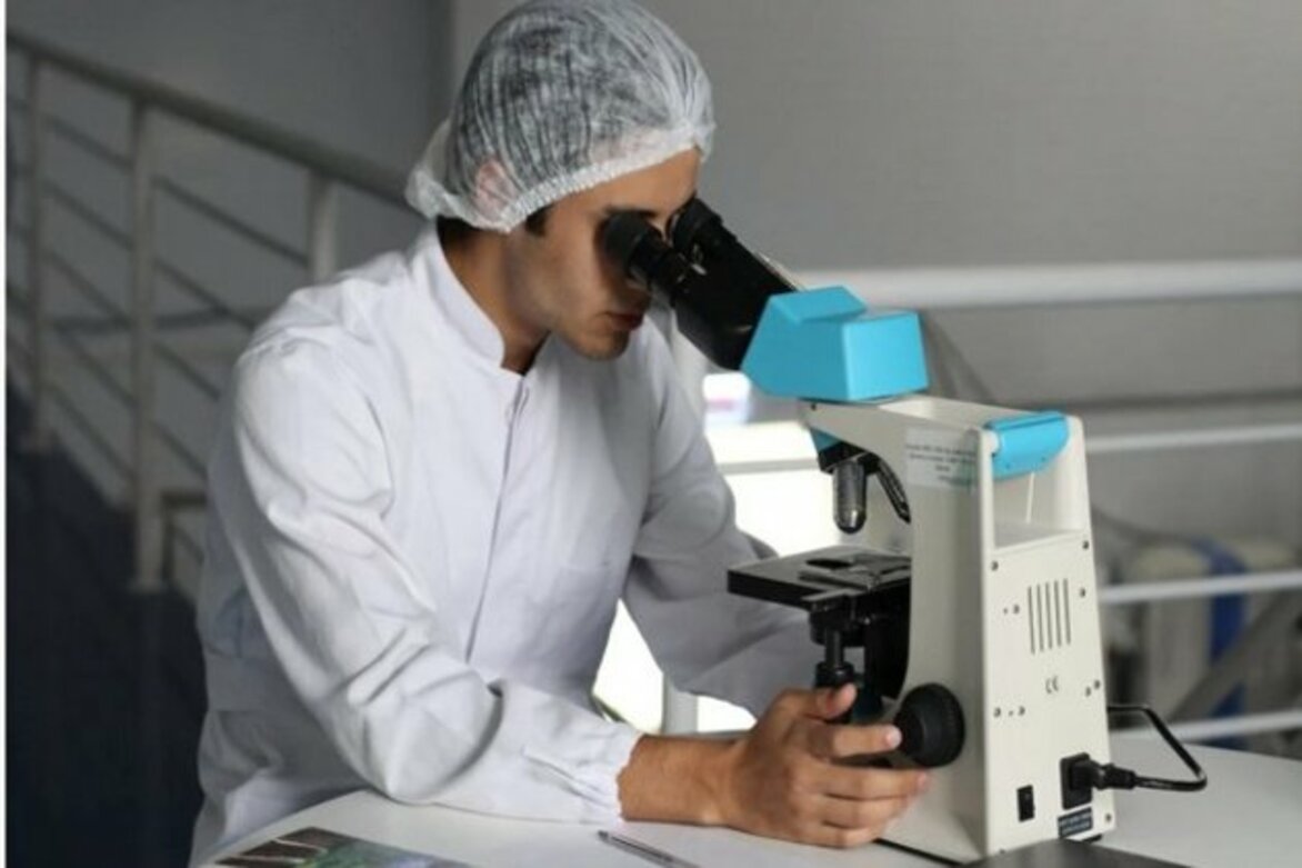 Do you know blocking abnormal stem cell signal during aging lessens related bone loss? Study finds