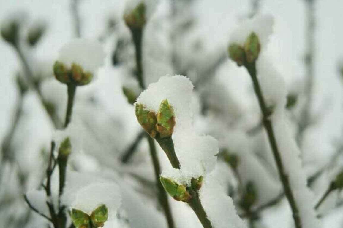 'A winter always coming': Kevin Brophy's affecting poems mine loss, luck and acceptance