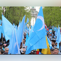 World Uyghur Congress intensifies advocacy efforts in Brussels ahead of EU-China Human Rights Dialogue