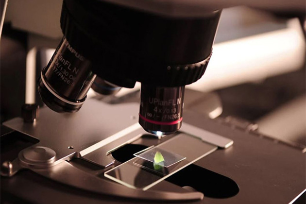 Centre raises financial threshold for procurement of scientific equipment, consumables