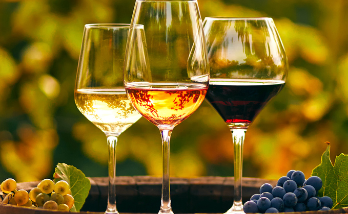 Lucy de Greeff, director at chartered accountants Saffrey, explains how farmers could seize the opportunity of producing delicious and fruity wines