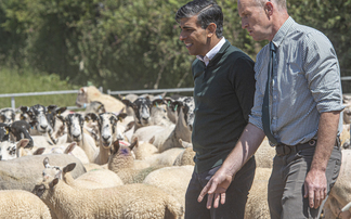 Prime Minister Rishi Sunak makes badger cull pledge while on General Election trail at Devon farm