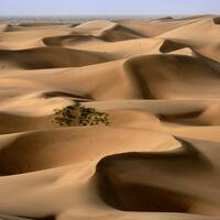 "Sea of Death" becomes land of wonder