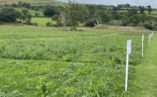 FFX Scotland: Top tips for successful on-farm trials