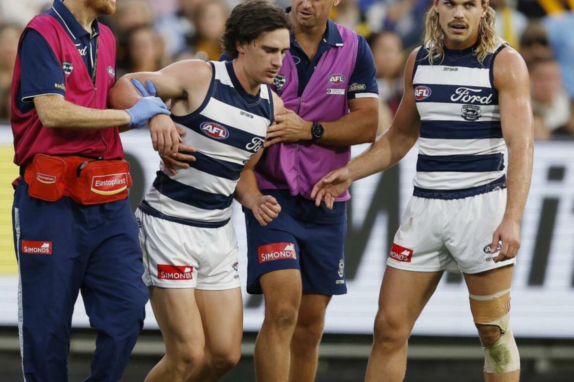 Hawthorns Conor Nash could face a four week ban after knocking out Geelongs Gryan Miers