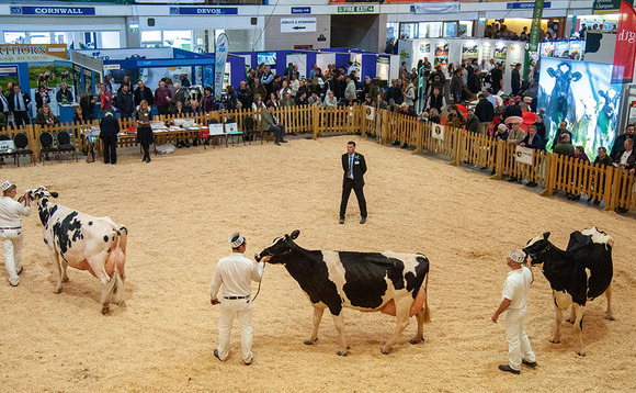 Dairy Show to go ahead without cattle classes