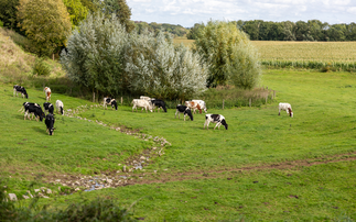 Farming Matters: "I farm regeneratively because I believe we can produce food in a way that heals rather than harms"