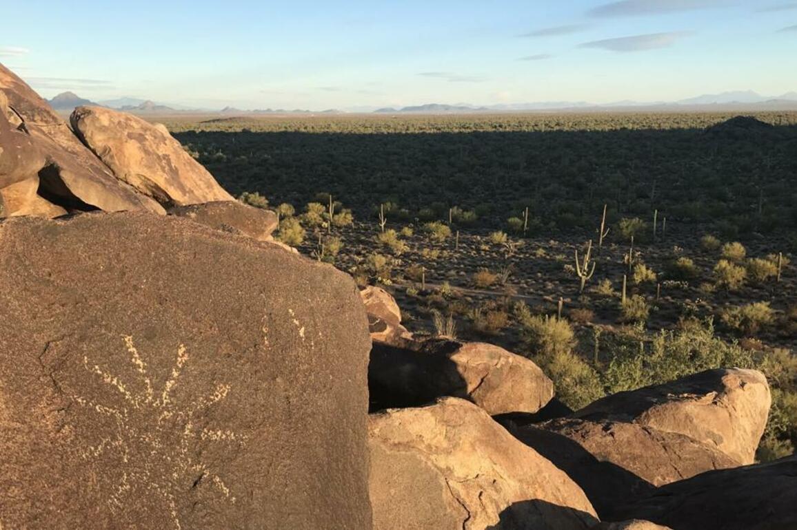 Tucson preserve faces threat as it marks 25th anniversary